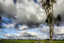 兰博电竞官网:晒合影!郑钦文新团队亮相,新年首秀定了新闻.