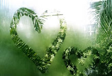 兰博电竞官网:1-0,51岁于根伟发威:率队3轮不败,升至第2+积分追平领头羊.